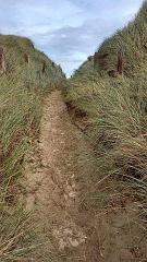 Sylt (182)